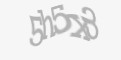 Защитный код